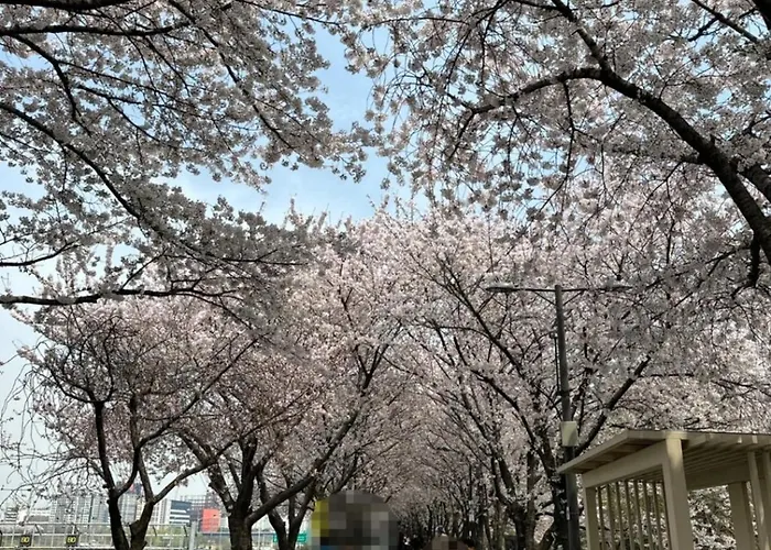401, Atelier Seongsu Riverside Loft Cherry Blossom Road River Airport Bus Apartment