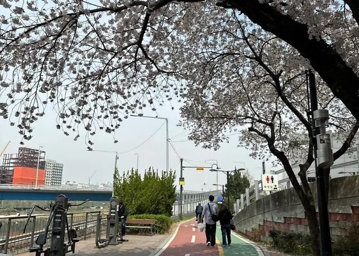 401, Atelier Seongsu Riverside Loft Cherry Blossom Road River Airport Bus Seoul