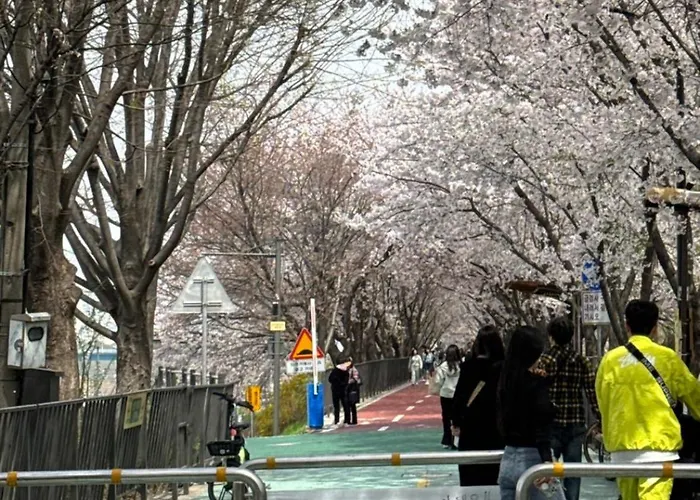 401, Atelier Seongsu Riverside Loft Cherry Blossom Road River Airport Bus *